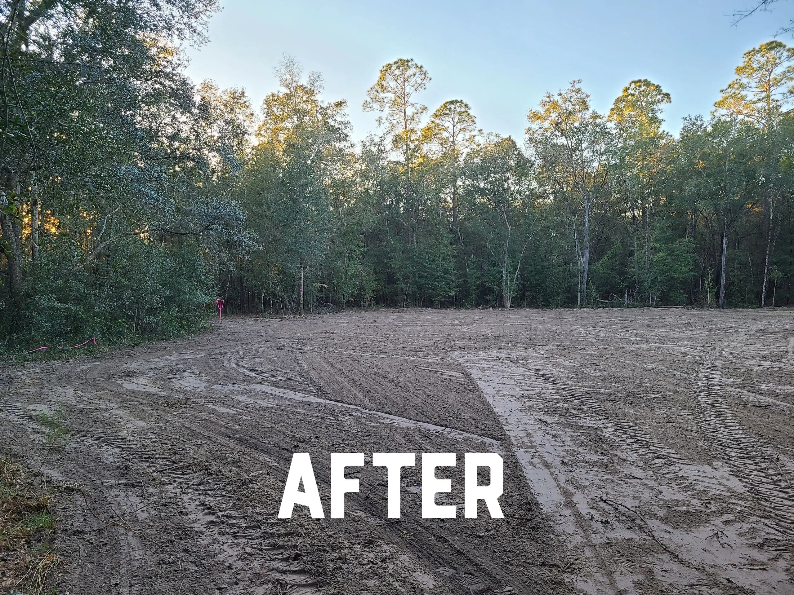Wooded lot cleared and graded flat